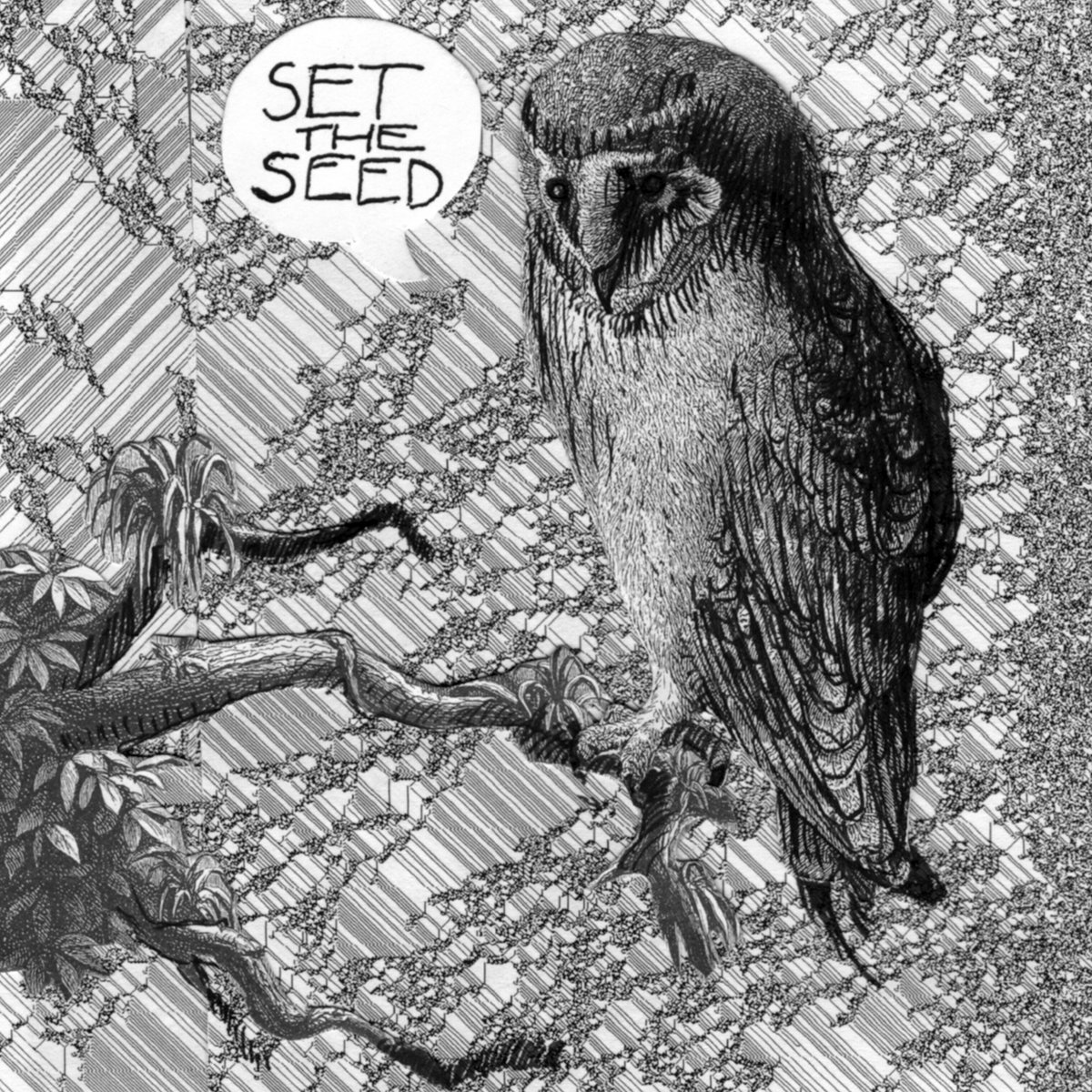 Set the Seed artwork